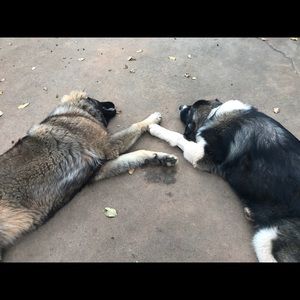 Meet your Posher, Kathy